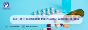 Best Anti-Depressant PCD Pharma Franchise in India